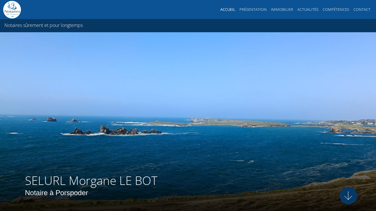 SELURL Morgane LE BOT 